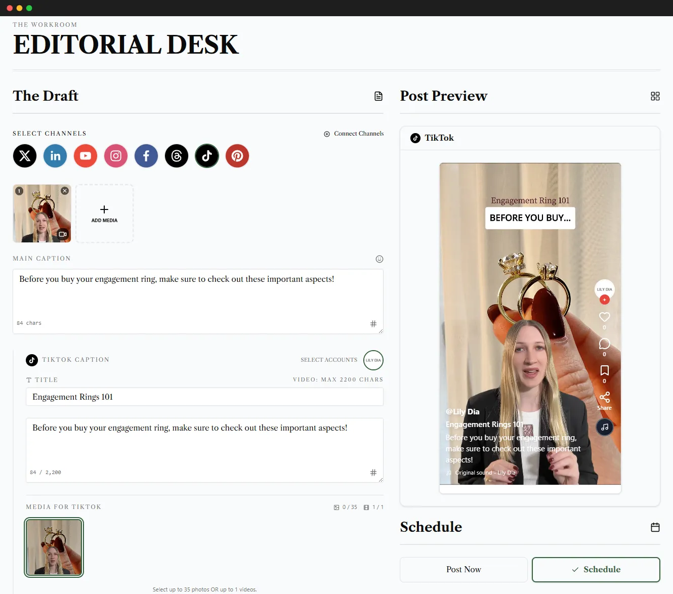 TikTok Scheduler Interface