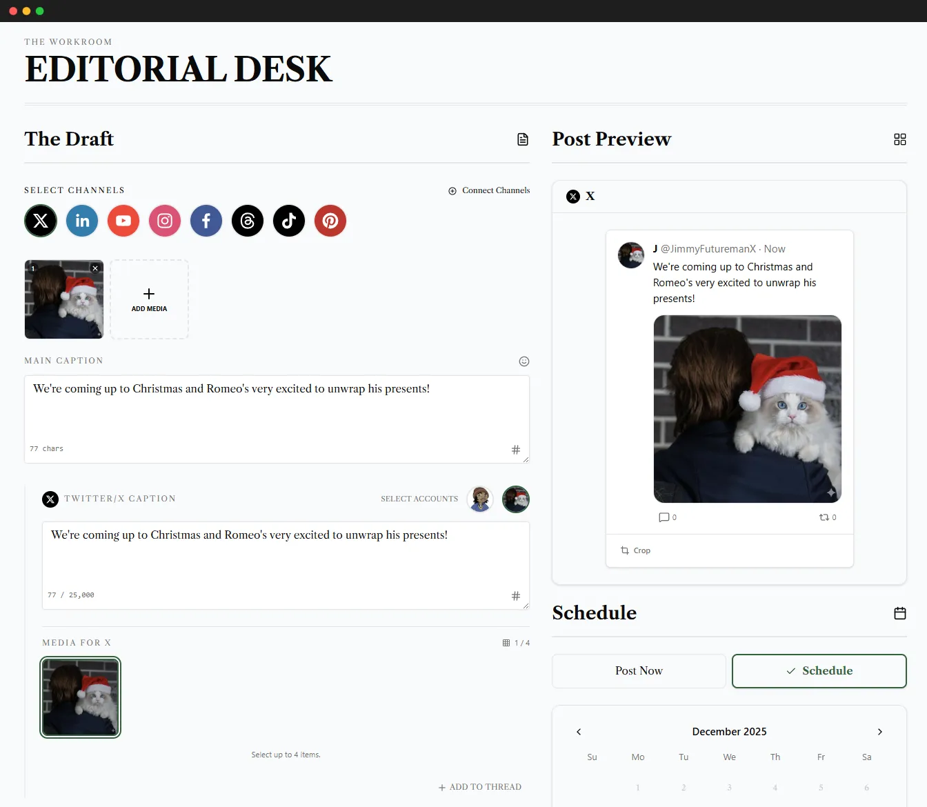 X (Twitter) Scheduler Interface